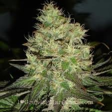 Weed Jack