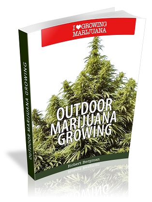 Cannabis Grow Bible Pdf