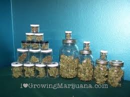 Cannabis airtight jars