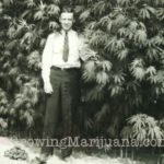 Marijuana history