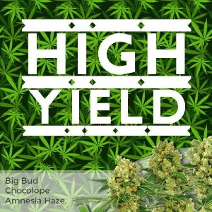 High Yield Mix