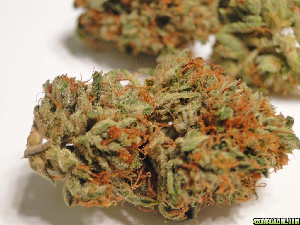 Fire OG Strain Review I Love Growing Marijuana