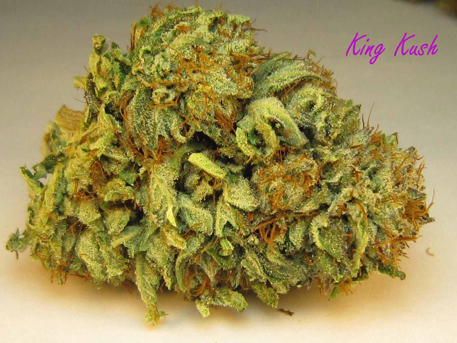 King Kush Strain Review I Love Growing Marijuana