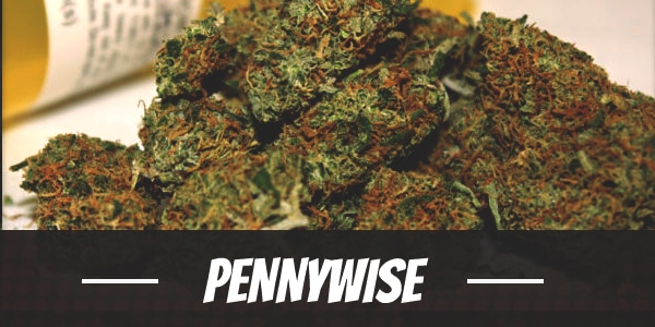 Pennywise Strain