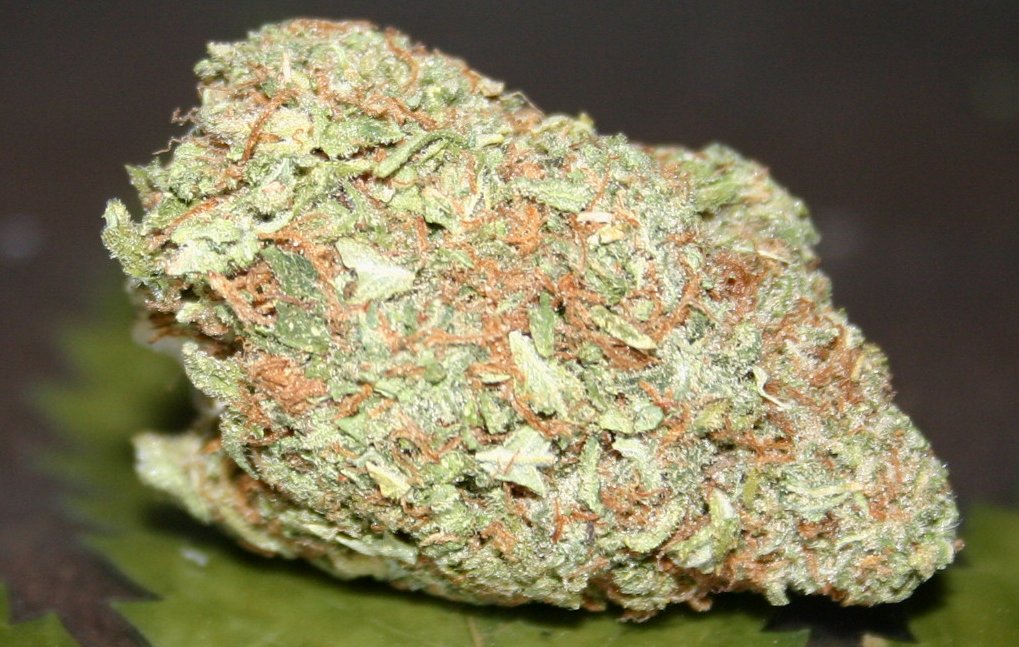 weed 39