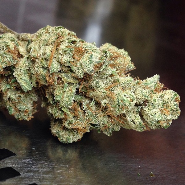 Diamond OG Kush Strain Ultimate Guide & Review!