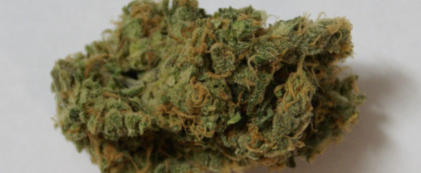 Snoop's_Dream_Effects