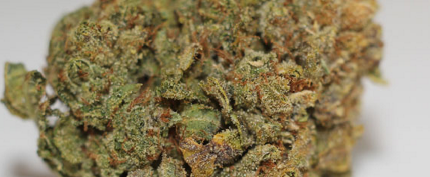 Mars OG Adverse reaction