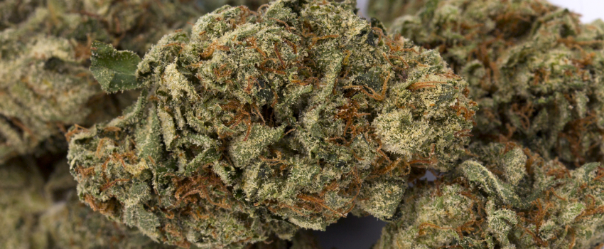 Mars_OG_Medical