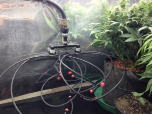 gravity-fed-drip-irrigation-upgraded