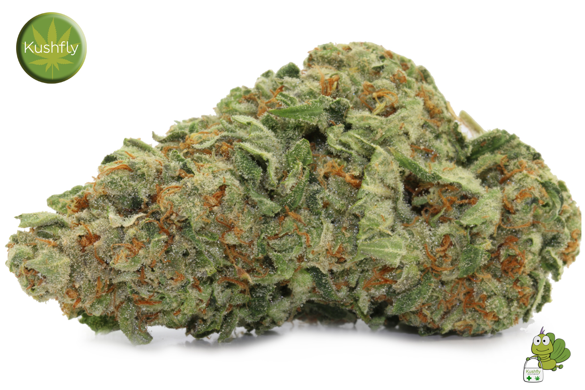 Clementine Cannabis Strain Ultimate Guide & Review!