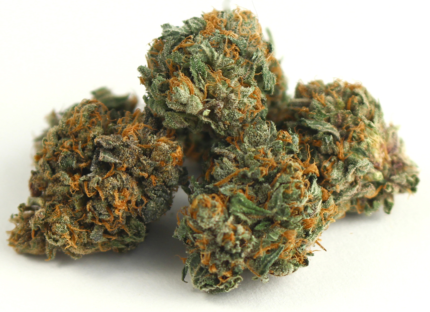 Watermelon Strain Review I Love Growing Marijuana