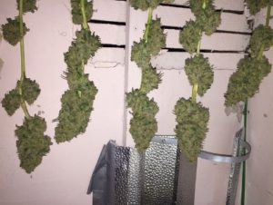 3 to 4 ounces