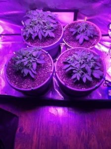 LST-ed