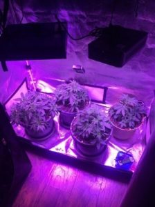 light in this tent