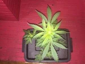 some updated photos