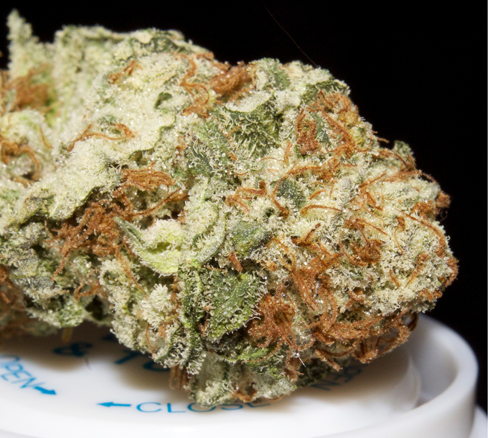 Orange Skunk Strain Review - I Love Growing Marijuana