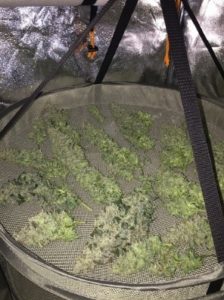 3 ounces dried