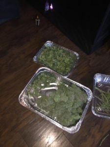 473 grams