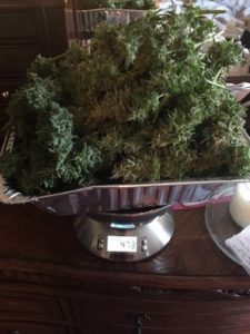 473 grams
