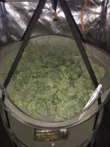 473 grams