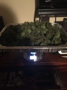 523 grams