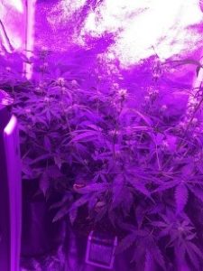 some LST