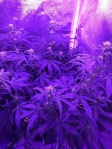 some LST