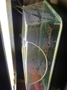 temporary homes