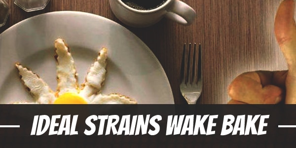 Ideal Strains for Your Wake and Bake