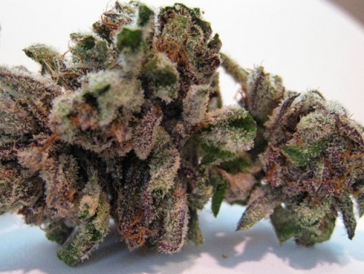 Grape OX