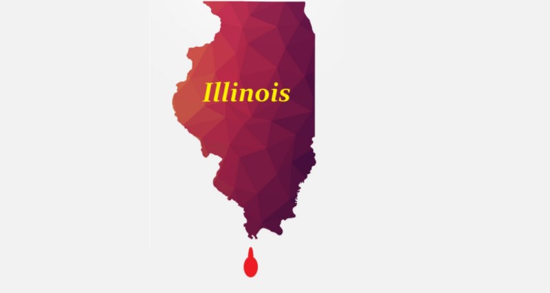 How to Start a Marijuana Delivery Service in Illinois