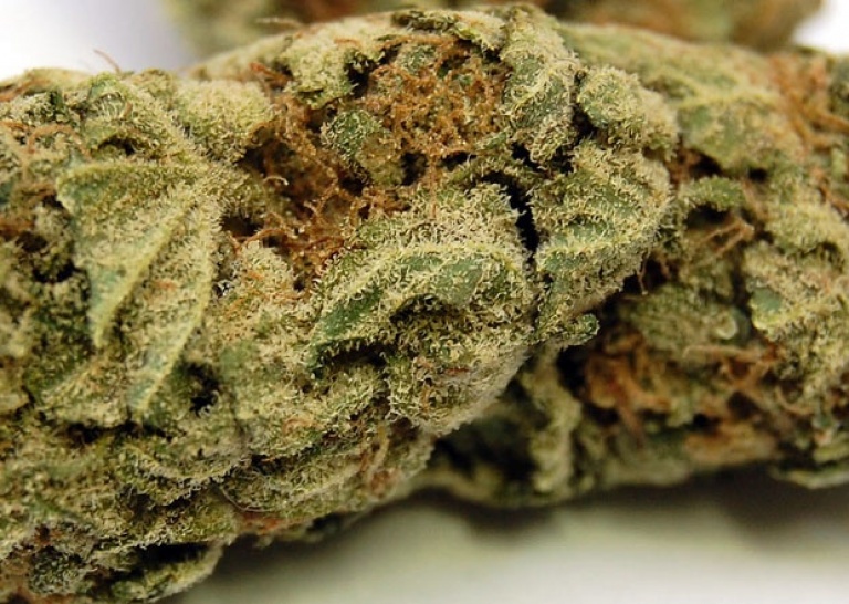 Lemon Fire