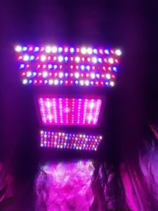 Melzhi reflector lights