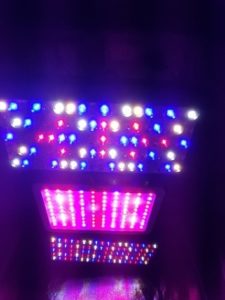 Melzhi reflector lights