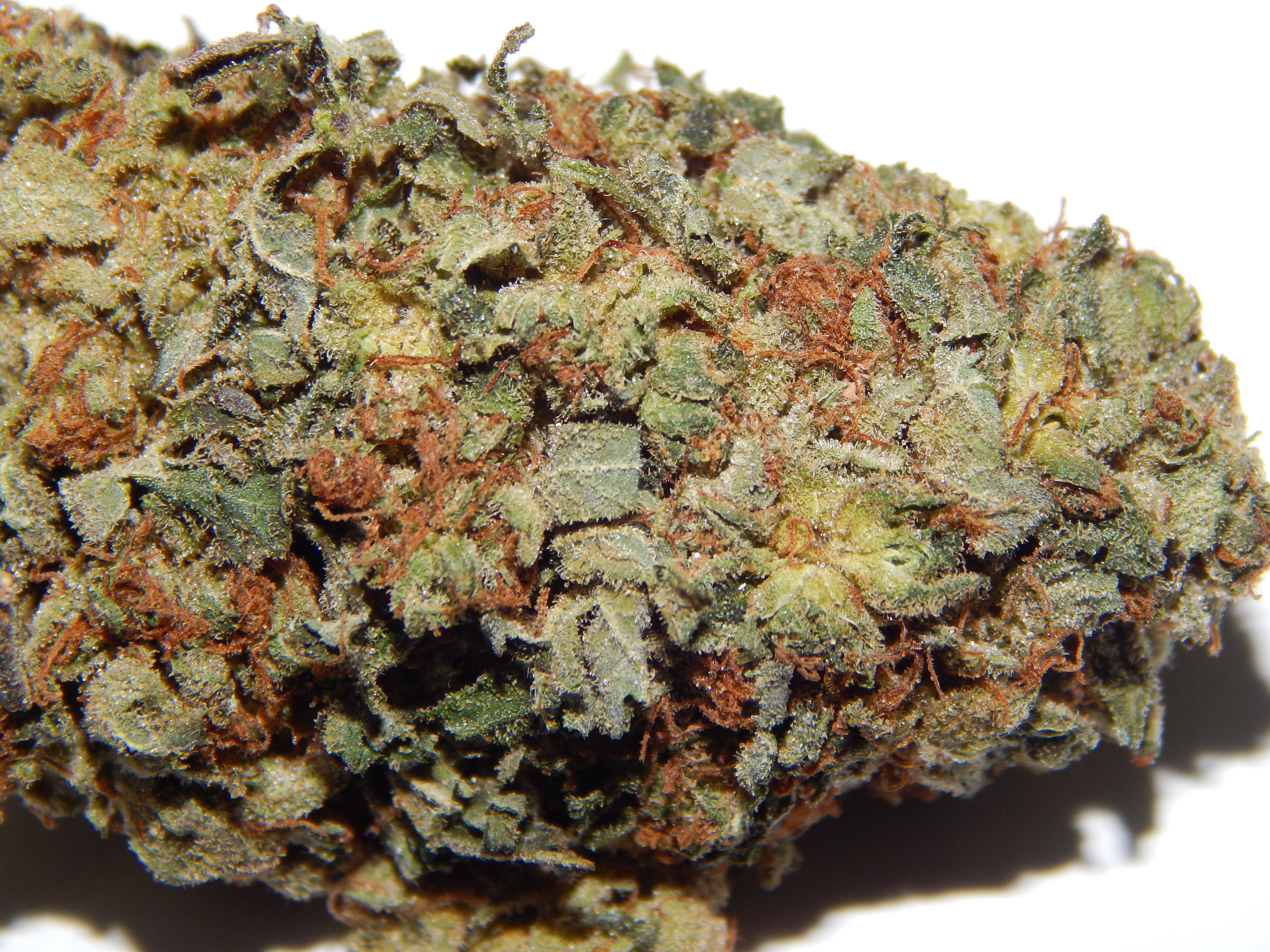 Old School OG