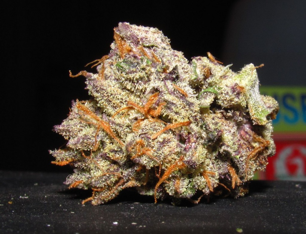 U2 Kush