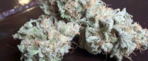 Колодки white siberia