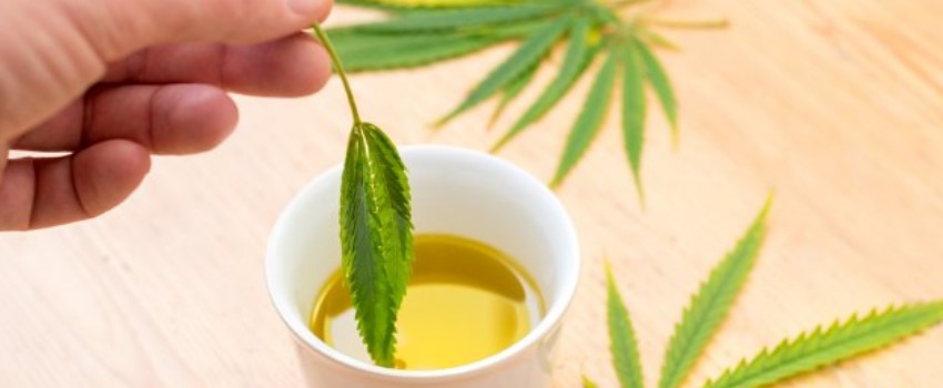 CBD Oil for Tourette Syndrome