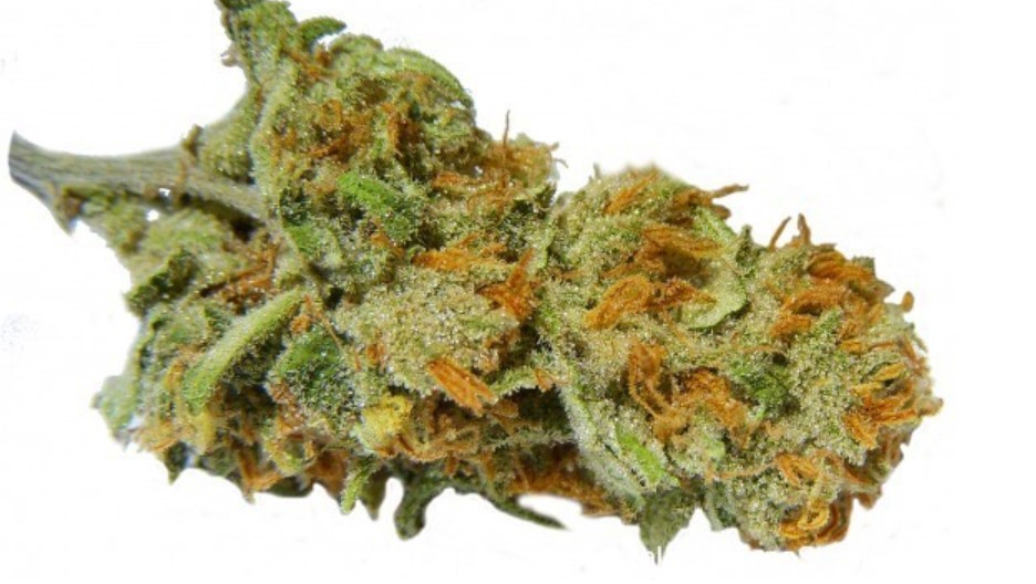 Super Lemon OG Strain Review I Love Growing Marijuana