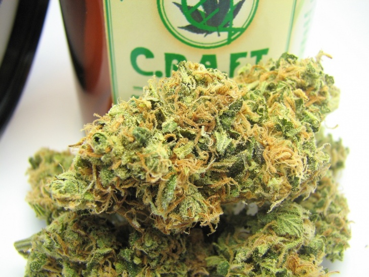 Tangelo Kush Cannabis Strain Information & Review ILGM