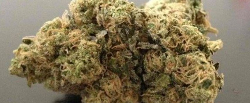 Afghan Hawaiian Effects