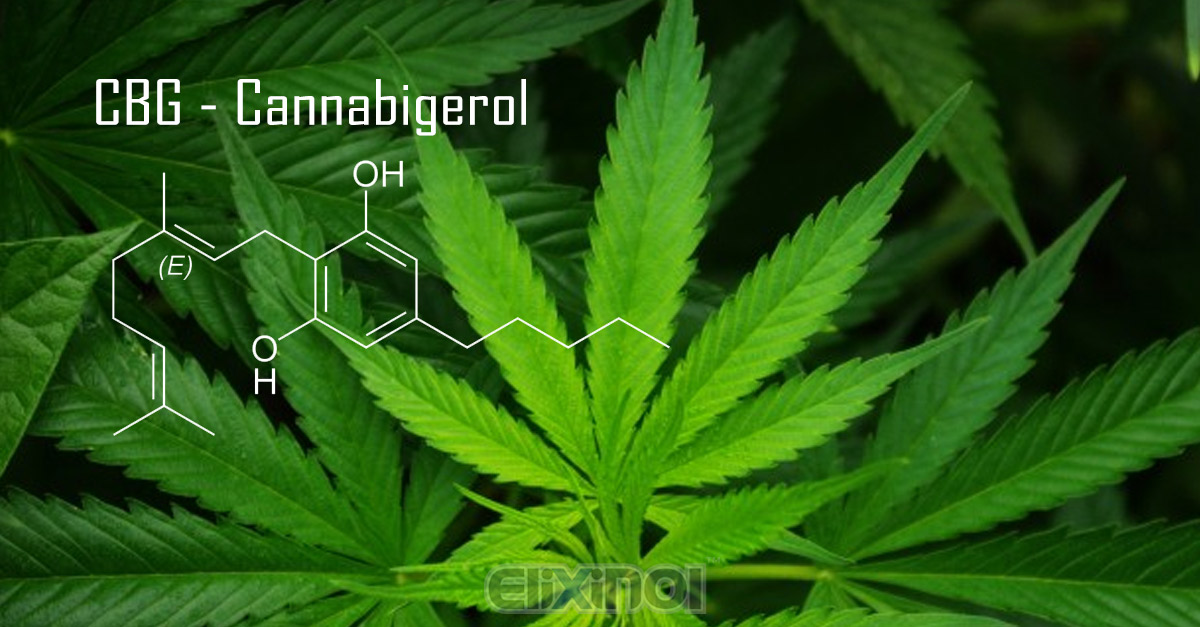 Cannabigerol (CBG) I Love Growing Marijuana