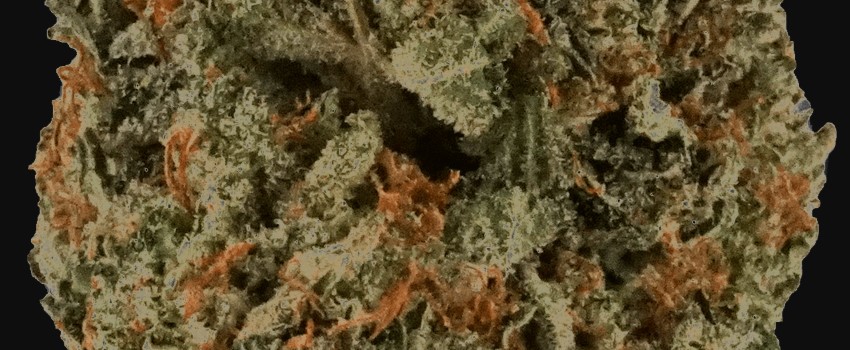 Death Bubba Effects