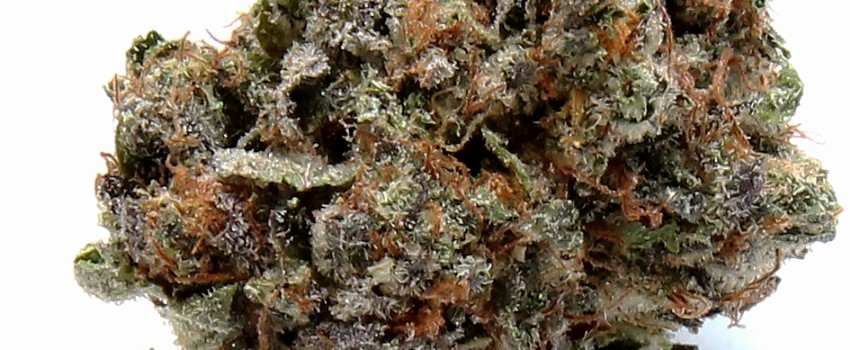 Death Bubba Medical