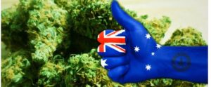 Australian marijuana laws
