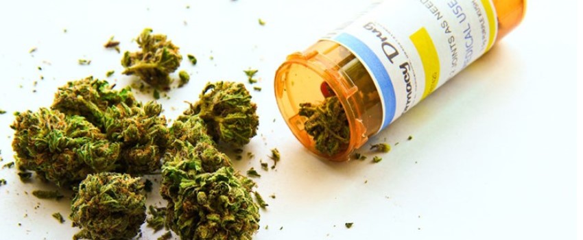 MMJ proposition