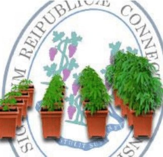 Grow marijuana in Connecticut