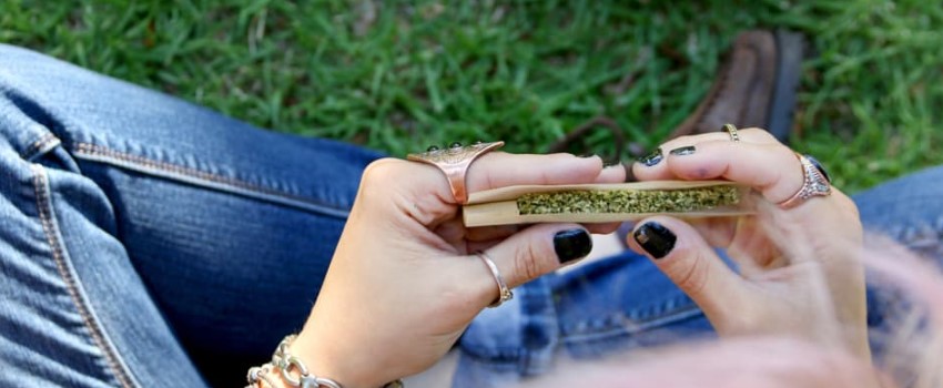 Michigan State University has banned cannabis use