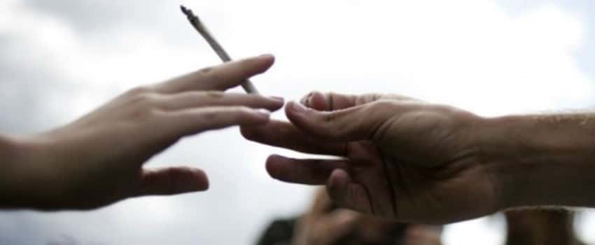 Strict Warning against Cannabis Use